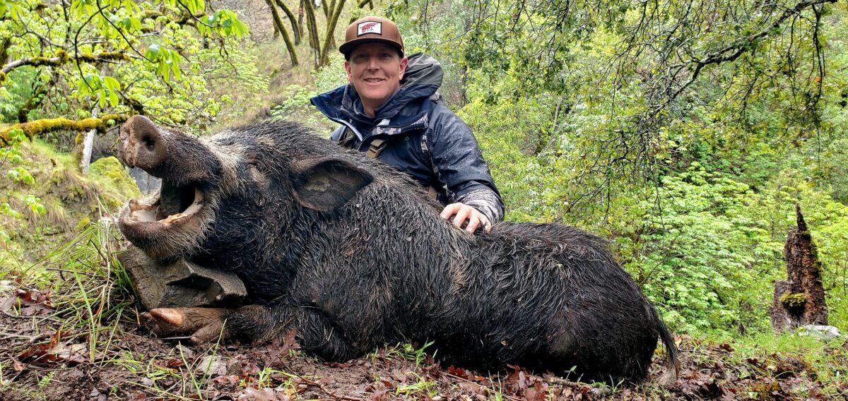 California Wild Pig Hunt 2024 | Lockwood Hunting Services